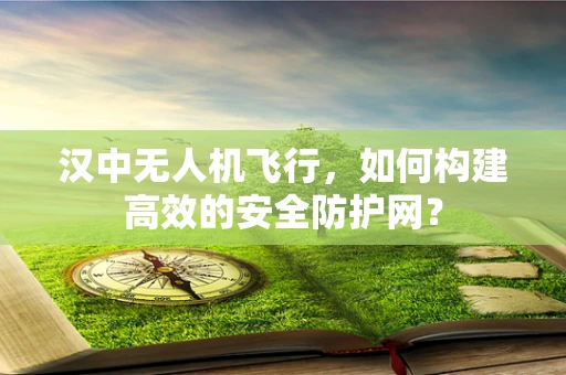 汉中无人机飞行，如何构建高效的安全防护网？