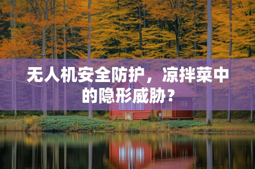 无人机安全防护，凉拌菜中的隐形威胁？