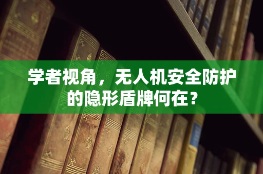 学者视角，无人机安全防护的隐形盾牌何在？