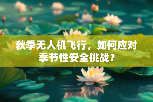 秋季无人机飞行，如何应对季节性安全挑战？