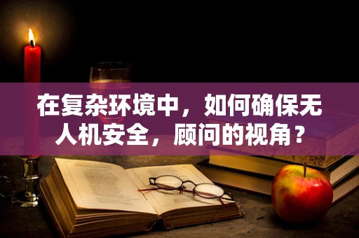 在复杂环境中，如何确保无人机安全，顾问的视角？