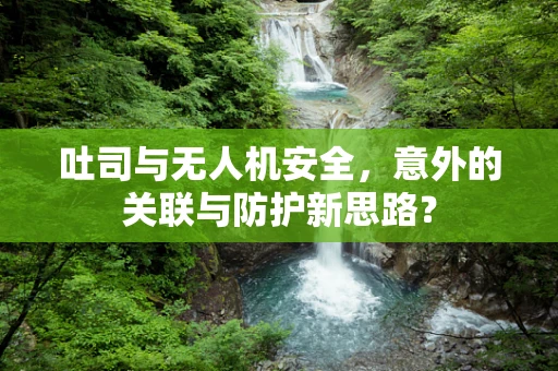 吐司与无人机安全，意外的关联与防护新思路？