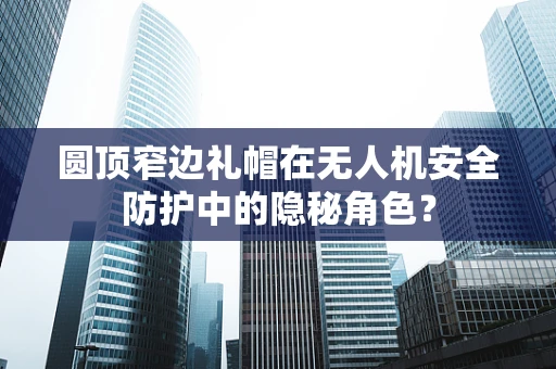 圆顶窄边礼帽在无人机安全防护中的隐秘角色？