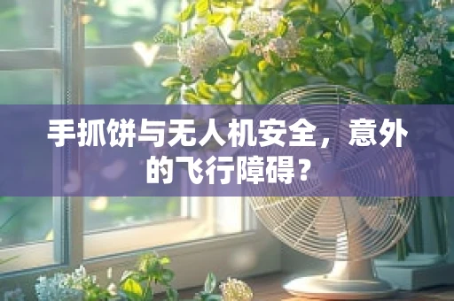 手抓饼与无人机安全，意外的飞行障碍？