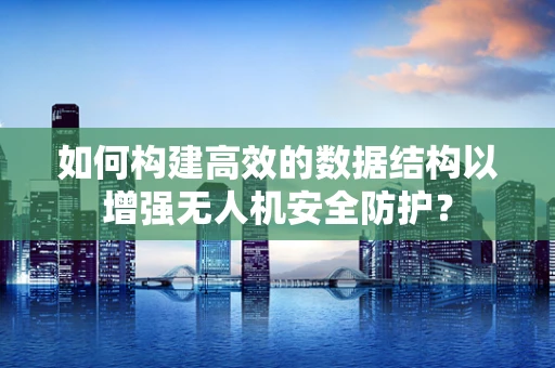 如何构建高效的数据结构以增强无人机安全防护？