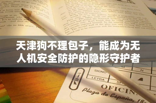 天津狗不理包子，能成为无人机安全防护的隐形守护者吗？