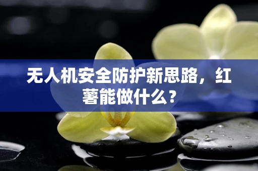 无人机安全防护新思路，红薯能做什么？