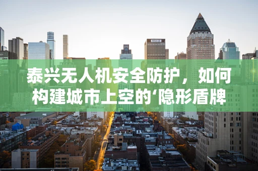 泰兴无人机安全防护，如何构建城市上空的‘隐形盾牌’？