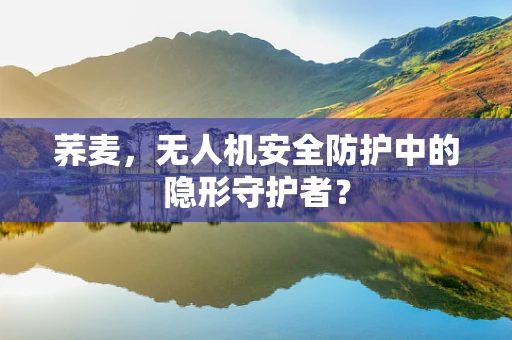 荞麦，无人机安全防护中的隐形守护者？