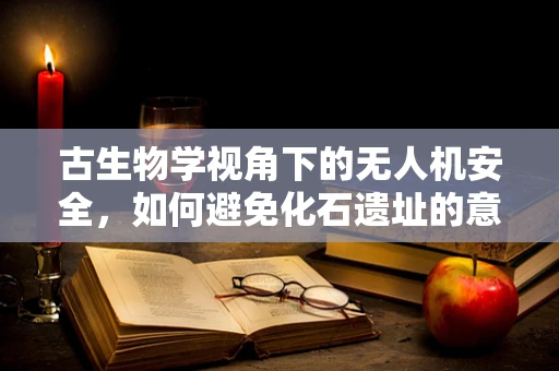 古生物学视角下的无人机安全，如何避免化石遗址的意外侵扰？