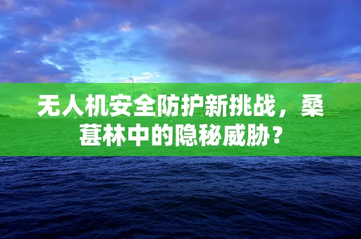 无人机安全防护新挑战，桑葚林中的隐秘威胁？