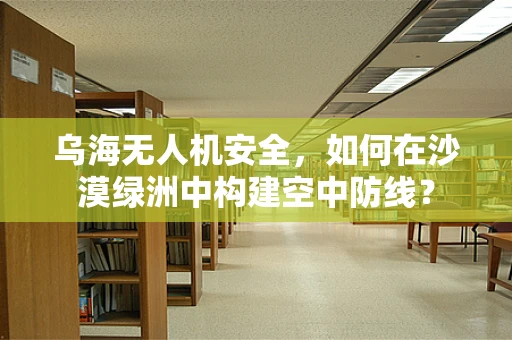 乌海无人机安全，如何在沙漠绿洲中构建空中防线？