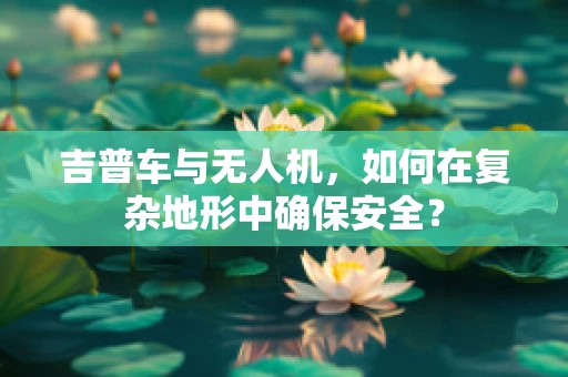 吉普车与无人机，如何在复杂地形中确保安全？