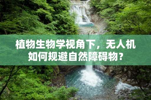 植物生物学视角下，无人机如何规避自然障碍物？