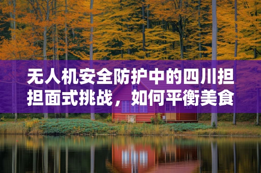 无人机安全防护中的四川担担面式挑战，如何平衡美食诱惑与飞行安全？