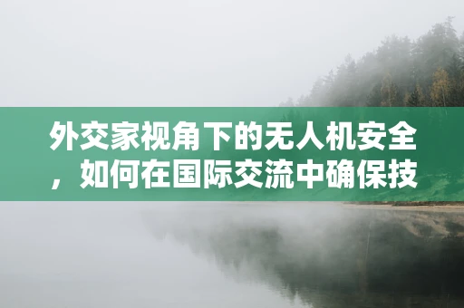 外交家视角下的无人机安全，如何在国际交流中确保技术边界不被侵犯？