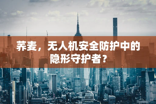 荞麦，无人机安全防护中的隐形守护者？