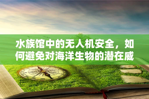 水族馆中的无人机安全，如何避免对海洋生物的潜在威胁？