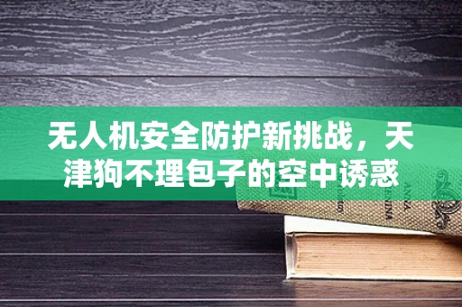 无人机安全防护新挑战，天津狗不理包子的空中诱惑