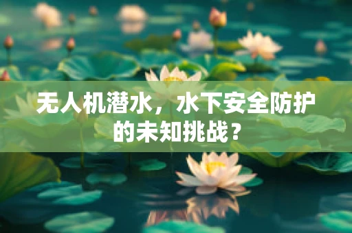 无人机潜水，水下安全防护的未知挑战？