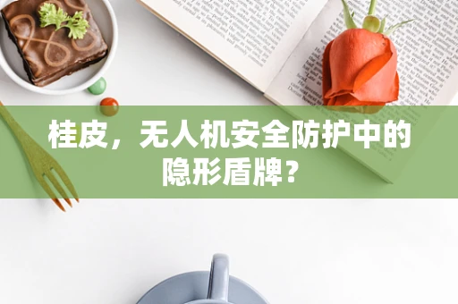 桂皮，无人机安全防护中的隐形盾牌？