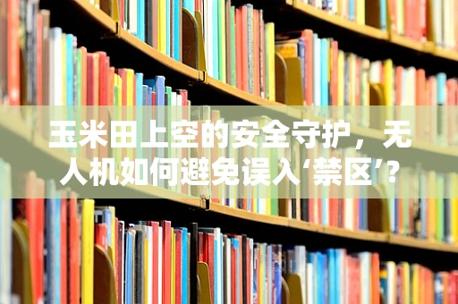 玉米田上空的安全守护，无人机如何避免误入‘禁区’？