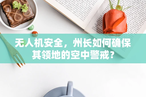 无人机安全，州长如何确保其领地的空中警戒？