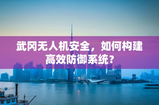 武冈无人机安全，如何构建高效防御系统？