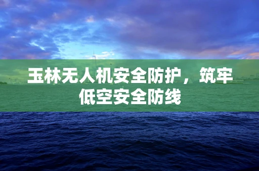 玉林无人机安全防护，筑牢低空安全防线