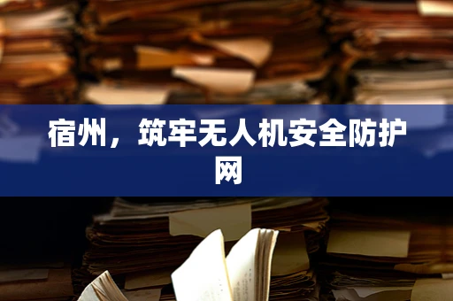 宿州，筑牢无人机安全防护网