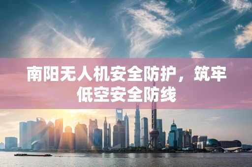 南阳无人机安全防护，筑牢低空安全防线