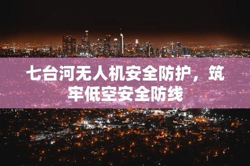 七台河无人机安全防护，筑牢低空安全防线