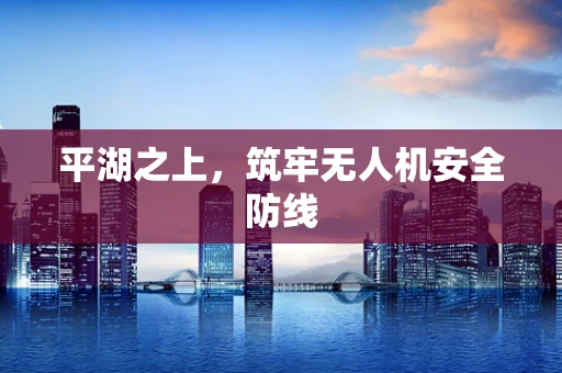 平湖之上，筑牢无人机安全防线