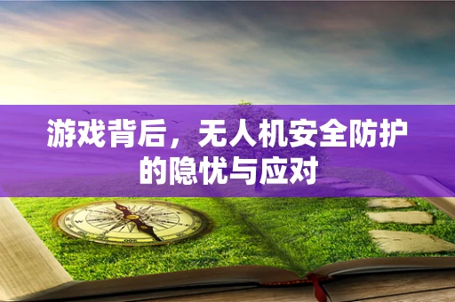 游戏背后，无人机安全防护的隐忧与应对